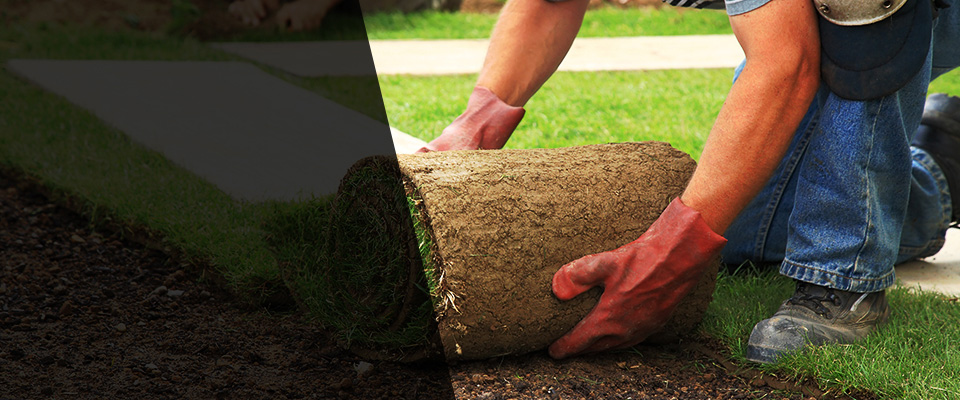 Quitman Landscapers